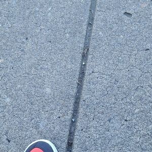 Meet your Posher, Rosalio